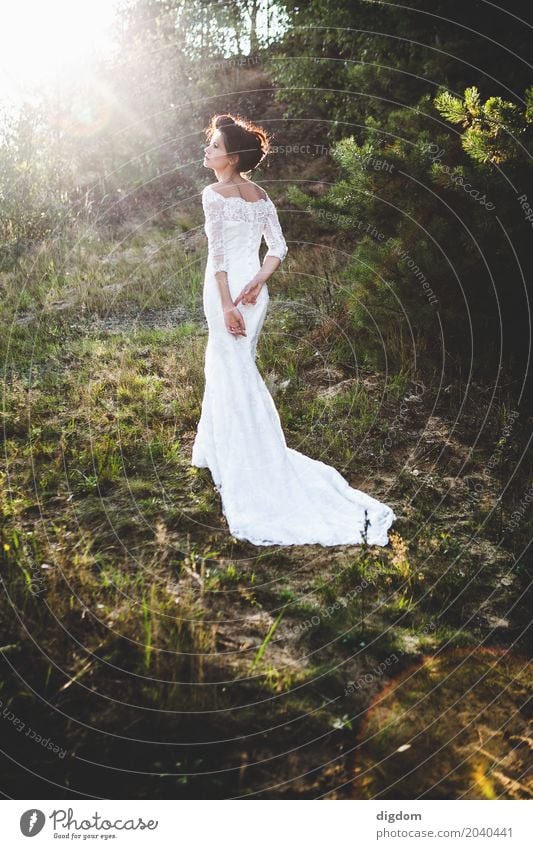 Braut im langen Kleid Lifestyle Hochzeit Mensch feminin Junge Frau Jugendliche Erwachsene Leben 1 18-30 Jahre Natur Garten Park Wald Haare & Frisuren brünett