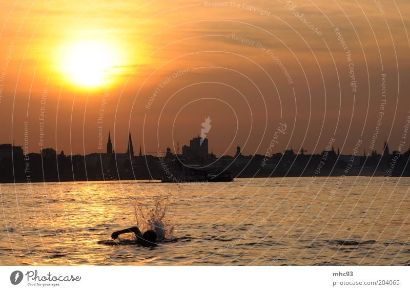 Summer in the City III Schwimmen & Baden Ferien & Urlaub & Reisen Sommer Sonnenbad Strand Feierabend Natur Landschaft Wasser Himmel Wolkenloser Himmel