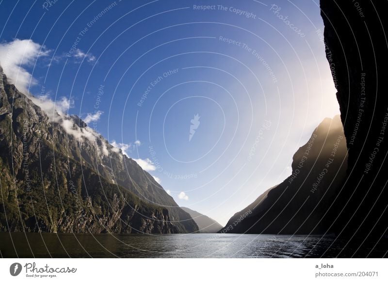 milford sound Natur Urelemente Erde Luft Himmel Schönes Wetter Nebel Felsen Gipfel Fjord träumen außergewöhnlich Bekanntheit fantastisch hoch schön blau Fernweh