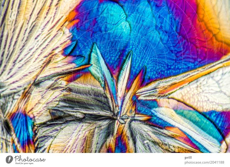 microscopic Galactose crystals Wissenschaften Natur außergewöhnlich galactose d-galactose Zucker mikrokristall halb durchsichtig durchlicht künstlich Mineralien