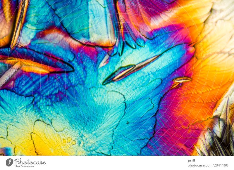 microscopic Galactose crystals Wissenschaften Natur außergewöhnlich galactose d-galactose Zucker mikrokristall halb durchsichtig durchlicht künstlich Mineralien