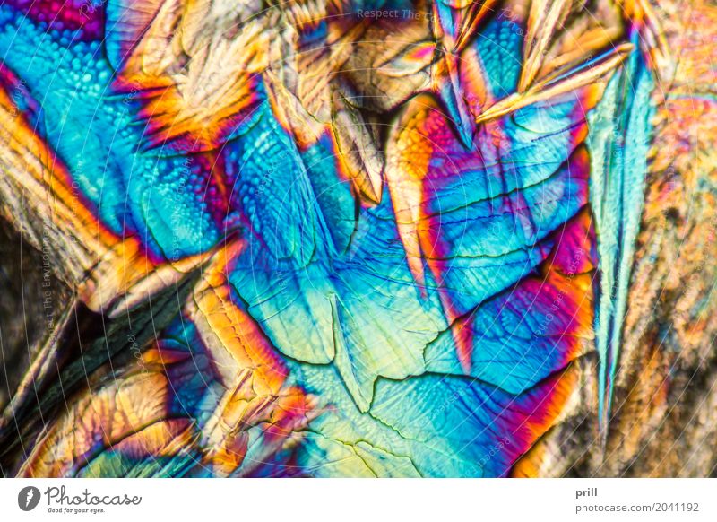 microscopic Galactose crystals Wissenschaften Natur außergewöhnlich galactose d-galactose Zucker mikrokristall halb durchsichtig durchlicht künstlich Mineralien