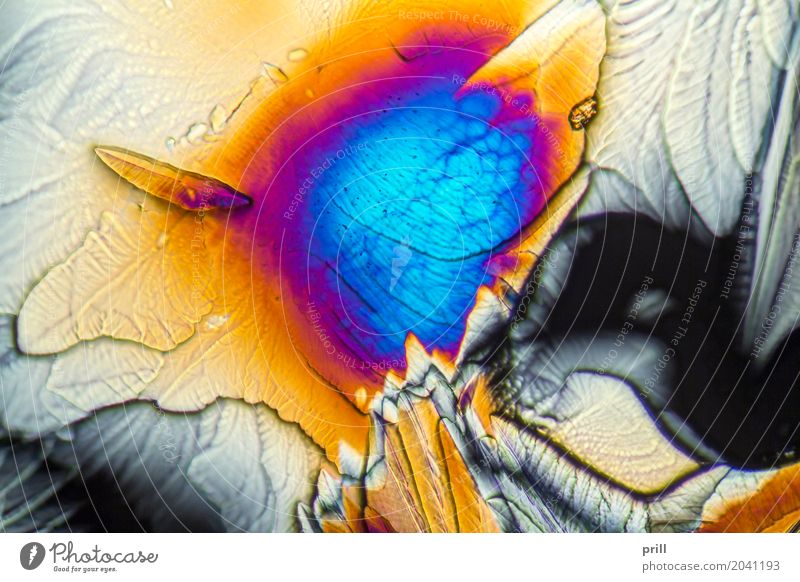 microscopic Galactose crystals Wissenschaften Natur außergewöhnlich galactose d-galactose Zucker mikrokristall halb durchsichtig durchlicht künstlich Mineralien