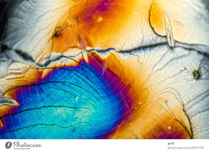 microscopic Galactose crystals Wissenschaften Natur außergewöhnlich galactose d-galactose Zucker mikrokristall halb durchsichtig durchlicht künstlich Mineralien