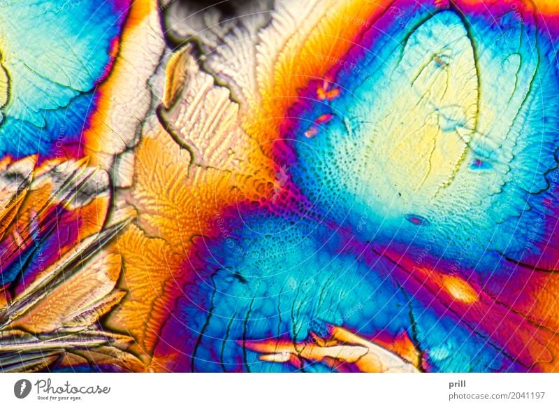 microscopic Galactose crystals Wissenschaften Natur außergewöhnlich galactose d-galactose Zucker mikrokristall halb durchsichtig durchlicht künstlich Mineralien