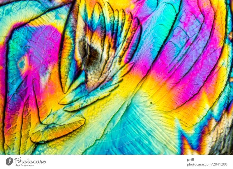 microscopic Galactose crystals Wissenschaften Natur außergewöhnlich galactose d-galactose Zucker mikrokristall halb durchsichtig durchlicht künstlich Mineralien