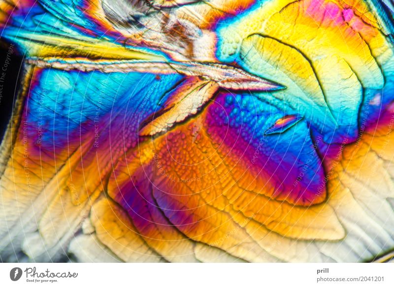 microscopic Galactose crystals Wissenschaften Natur außergewöhnlich galactose d-galactose Zucker mikrokristall halb durchsichtig durchlicht künstlich Mineralien