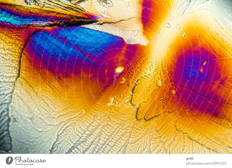 microscopic Galactose crystals Wissenschaften Natur außergewöhnlich galactose d-galactose Zucker mikrokristall halb durchsichtig durchlicht künstlich Mineralien