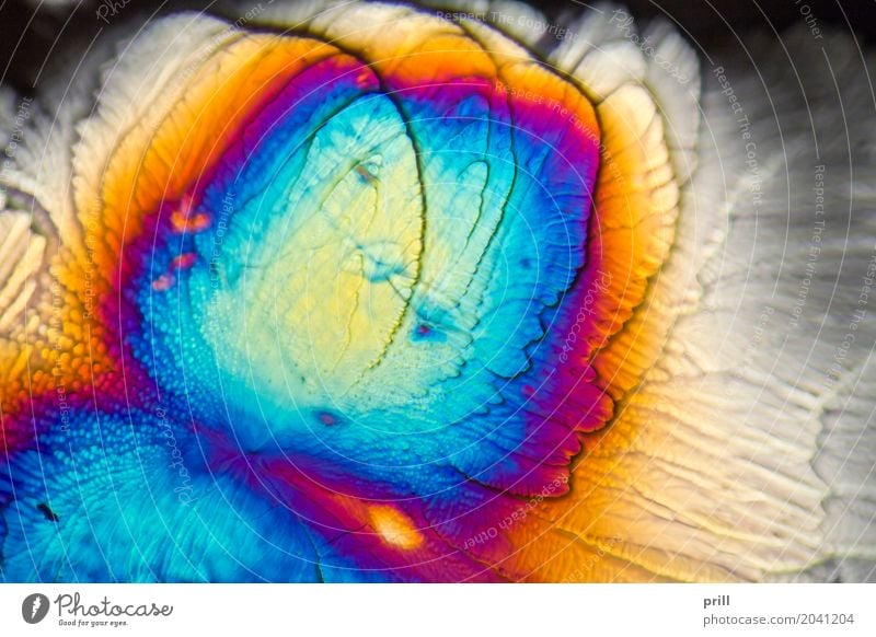 microscopic Galactose crystals Wissenschaften Natur fantastisch galactose d-galactose Zucker mikrokristall halb durchsichtig durchlicht künstlich Mineralien