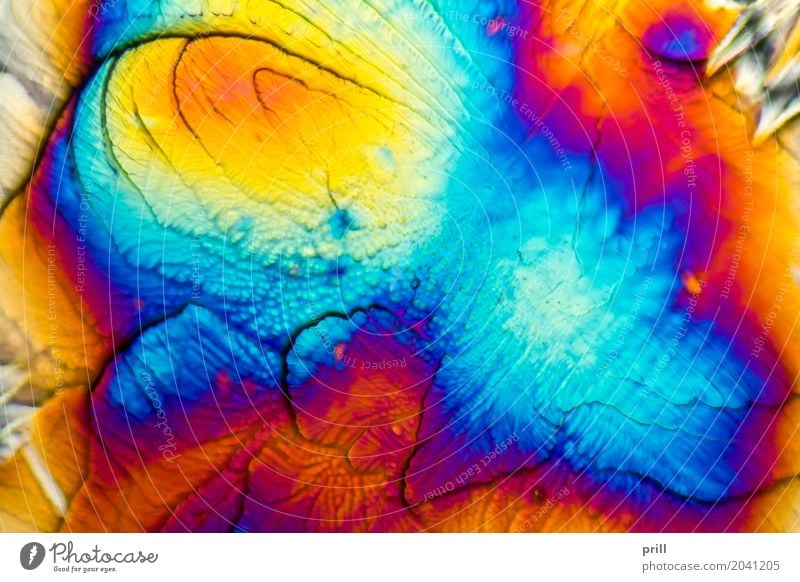 microscopic Galactose crystals Wissenschaften Natur außergewöhnlich galactose d-galactose Zucker mikrokristall halb durchsichtig durchlicht künstlich Mineralien