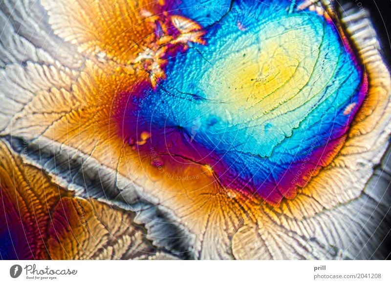 microscopic Galactose crystals Wissenschaften Natur außergewöhnlich schön galactose d-galactose Zucker mikrokristall halb durchsichtig durchlicht künstlich