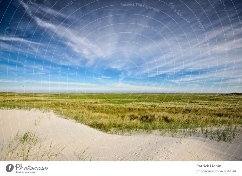 Welcome to sky valley Umwelt Natur Landschaft Pflanze Urelemente Erde Luft Himmel Wolken Sommer Klima Schönes Wetter Wind Küste Strand Nordsee Meer Insel