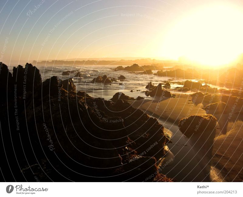 Pichilemu Ferien & Urlaub & Reisen Sommer Sommerurlaub Sonne Strand Meer Natur Landschaft Sand Wasser Wolkenloser Himmel Sonnenaufgang Sonnenuntergang Wärme