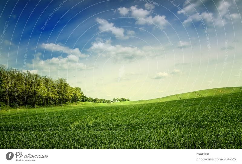 primavera Natur Landschaft Himmel Wolken Frühling Schönes Wetter Feld Wald blau grün Getreidefeld Landwirtschaft frisch Hügel sanft Farbfoto Außenaufnahme Tag