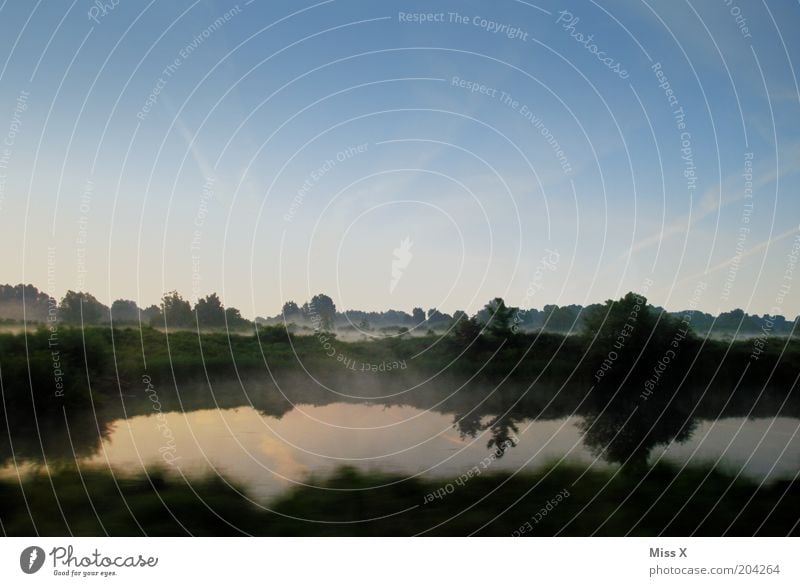 Original englischer Qualitätsnebel Ferien & Urlaub & Reisen Ausflug Natur Wasser Himmel Schönes Wetter Nebel Wiese Wald Moor Sumpf Teich Bach kalt Farbfoto