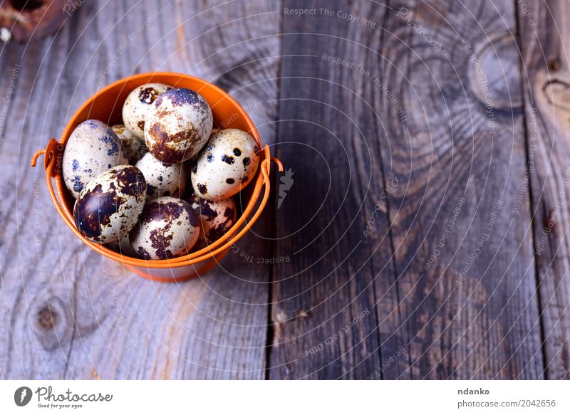 Frische Wachteleier in einem orange Eimer Essen Frühstück Diät Tisch Ostern Menschengruppe Natur Holz frisch hell klein natürlich oben grau Tradition Öko