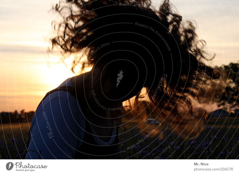 Sommerabend lV ( feat.headbanging ) feminin Frau Erwachsene Kopf Haare & Frisuren Natur Schönes Wetter rothaarig Locken Bewegung verrückt wild Extase