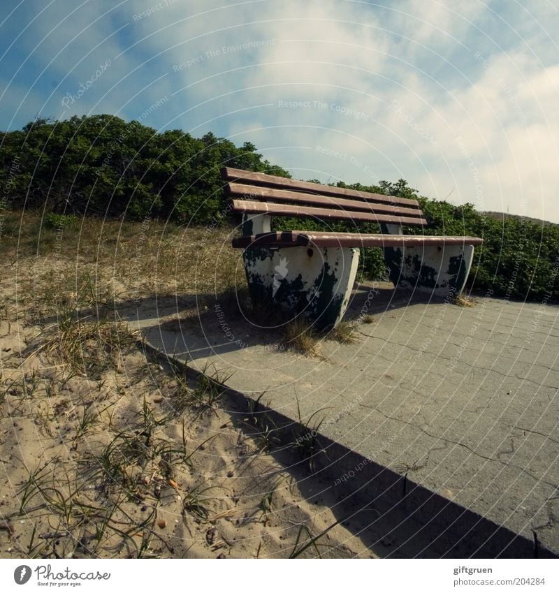 bankenparadies Sommer Sommerurlaub Umwelt Natur Landschaft Sand Himmel Wolken Schönes Wetter Pflanze Sträucher Bank Sitzgelegenheit Holzbank Perspektive