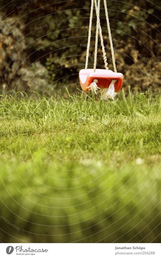 Rumhänger Umwelt Natur Landschaft Sommer grün rot ästhetisch Idylle Schaukel Seil hängen leer Gras Wiese Garten Spielplatz Spielzeug verschwunden Stillleben