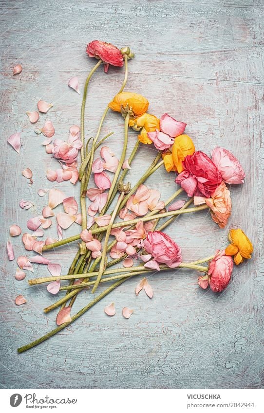 Schöner Blumenstrauß mit bunten Ranunkel Stil Design Sommer Dekoration & Verzierung Feste & Feiern Valentinstag Muttertag Hochzeit Geburtstag Natur Frühling