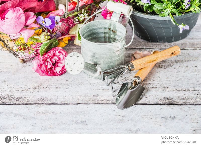 Gartengeräte mit Gießkanne und Blumen Stil Design Freizeit & Hobby Sommer Tisch Natur Pflanze Gerät Gartenarbeit Handschuhe Farbfoto Studioaufnahme Nahaufnahme