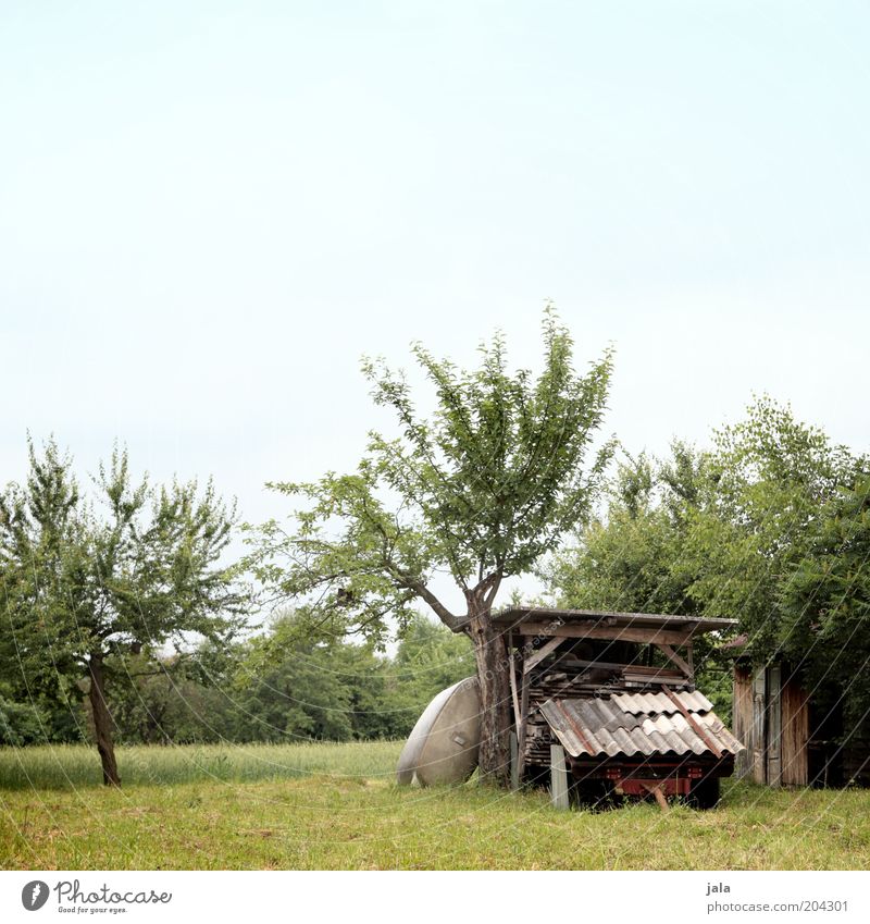 grundstück Natur Himmel Pflanze Baum Gras Wiese Feld Hütte Bauwerk blau grün Holz Anhänger Garten Obstbaum Farbfoto Außenaufnahme Menschenleer Textfreiraum oben