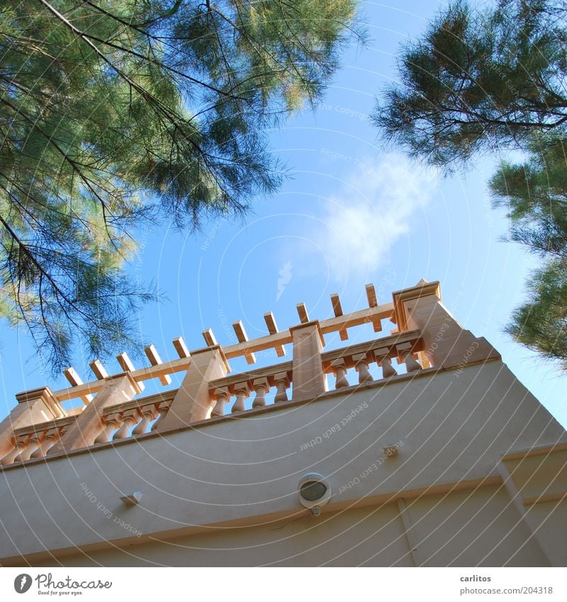 Ein Platz an der Sonne Himmel Sommer Schönes Wetter Wärme Baum Tamariske Traumhaus Gebäude Mauer Wand Terrasse Säule Geländer Erholung ästhetisch eckig hoch