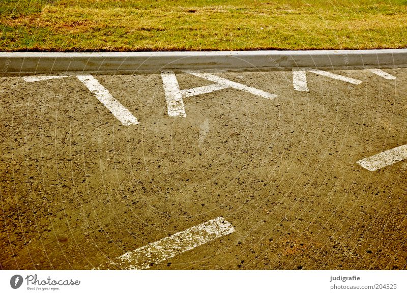 Island Gras Wiese Akureyri Platz Straße Taxi Zeichen Schriftzeichen Schilder & Markierungen außergewöhnlich lustig Farbfoto Außenaufnahme Textfreiraum oben