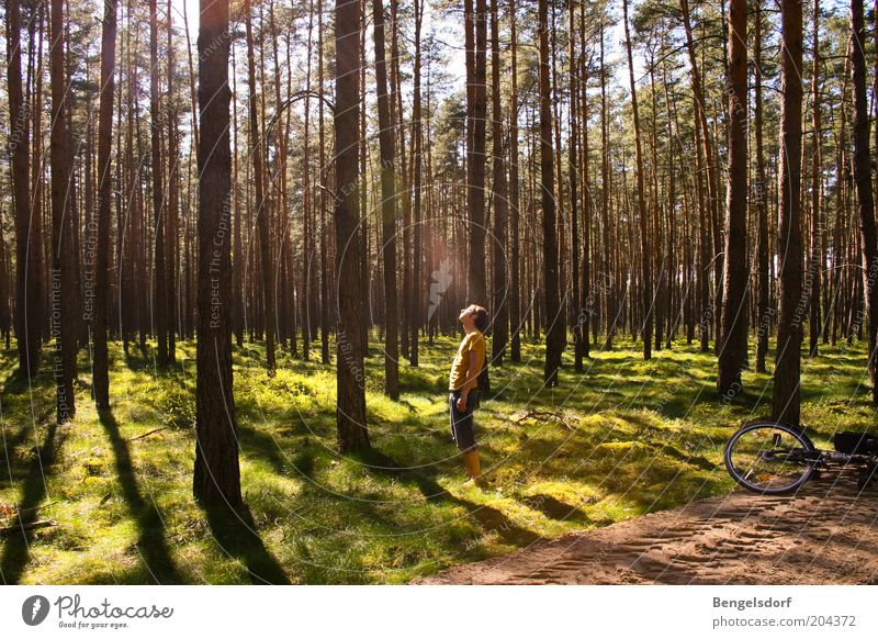 Pause. Freizeit & Hobby Ferien & Urlaub & Reisen Ausflug Freiheit Fahrradtour Sommer Sommerurlaub Junger Mann Jugendliche 1 Mensch Natur Pflanze Baum Gras Wald