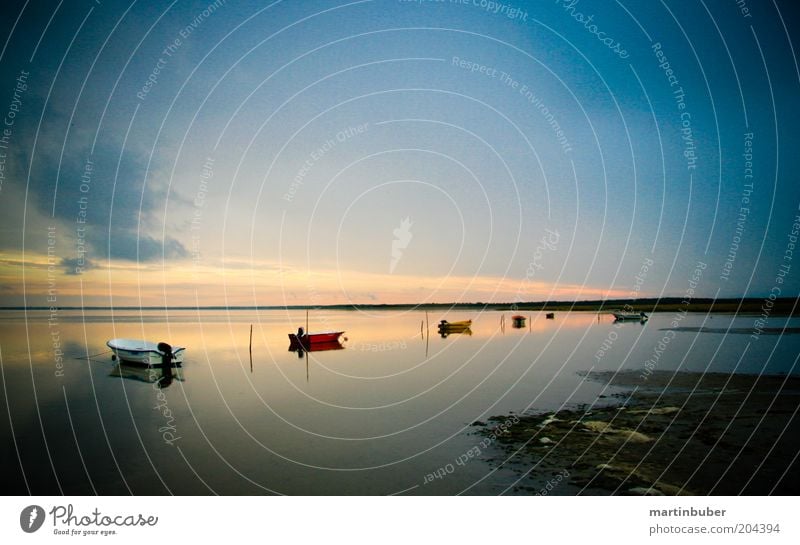 Boote Meer Natur Landschaft Himmel Horizont Küste Wasserfahrzeug Einsamkeit Freiheit Stimmung Ferne læsø himmlisch ruhig Außenaufnahme Textfreiraum oben