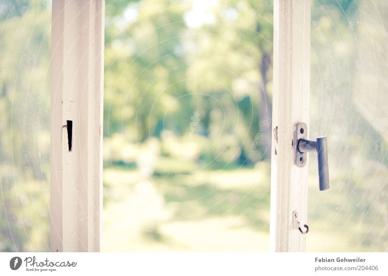 Lass die Sonne rein Fenster Fensterscheibe Natur Sonnenlicht Sommer Park Menschenleer Häusliches Leben grün weiß Erholung Idylle Wellness hell Wärme Morgen