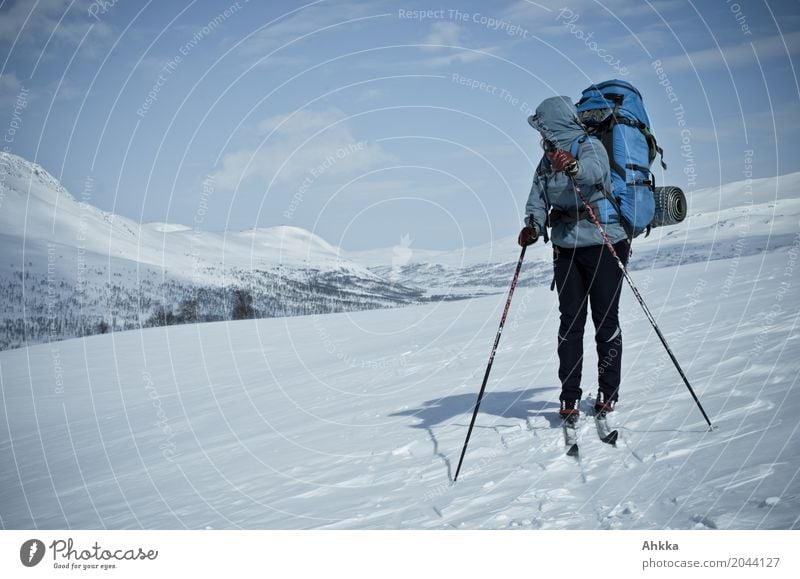 Skiläuferin mit Rucksack in Schneelandschaft, rückwärtsblickend Sinnesorgane ruhig Ferien & Urlaub & Reisen Abenteuer Winter Winterurlaub Skier Junge Frau