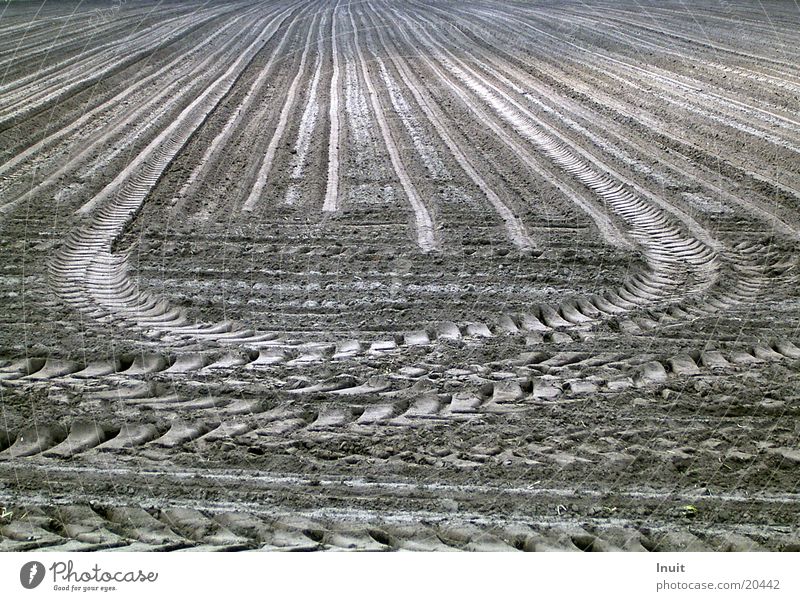 Spuren Feld Landwirtschaft Furche Verkehr Traktorspur