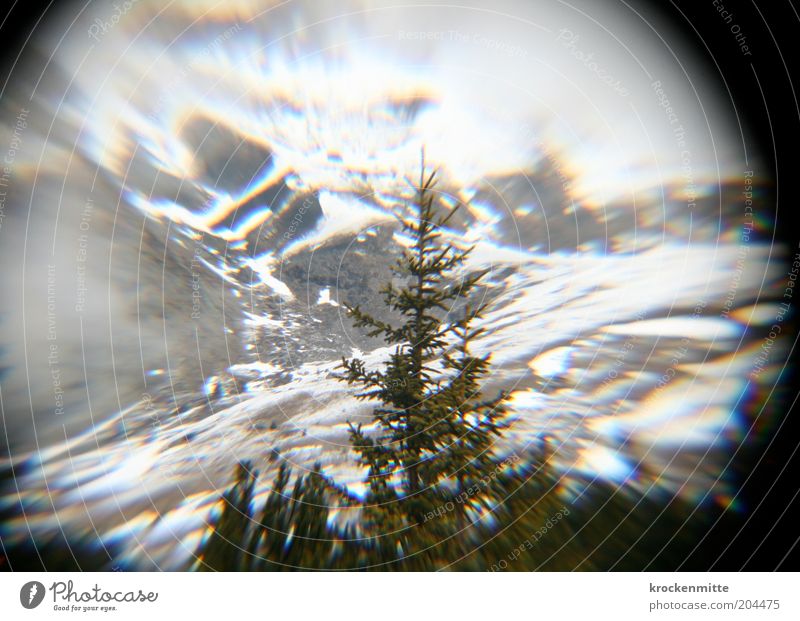 O Tannenbaum Umwelt Natur Landschaft Winter Baum Hügel Felsen Alpen Berge u. Gebirge Schneebedeckte Gipfel grün weiß Glaskugel rund Kreis Alm Alp Flix Schweiz