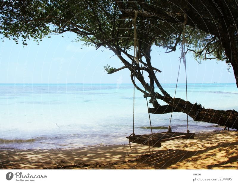 Freitags freier Tag Erholung ruhig Ferien & Urlaub & Reisen Ferne Sommer Sommerurlaub Meer Natur Landschaft Sand Schönes Wetter Baum Küste Strand Insel Idylle