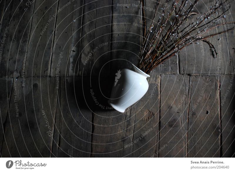 blumen im müll Pflanze Weidenkätzchen Holz liegen dreckig dunkel braun schwarz weiß Gefühle Traurigkeit stagnierend Vase Zweig Schatten Gedeckte Farben