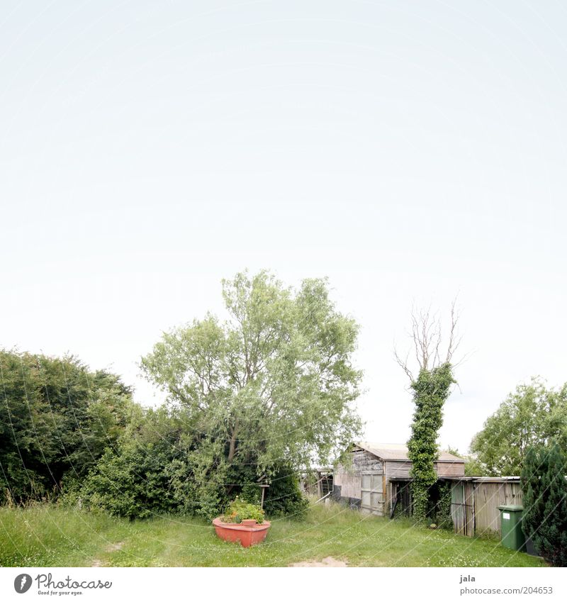 in schrebers garten Natur Himmel Baum Gras Sträucher Garten Wiese Hütte Gebäude blau grün rot Farbfoto Außenaufnahme Menschenleer Textfreiraum oben Tag Totale