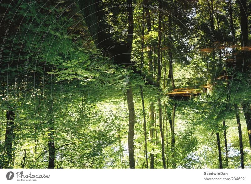 wo lang? da lang! V Umwelt Natur Wasser Wetter Schönes Wetter Bach Blick außergewöhnlich authentisch schön Wärme Farbfoto Außenaufnahme Menschenleer