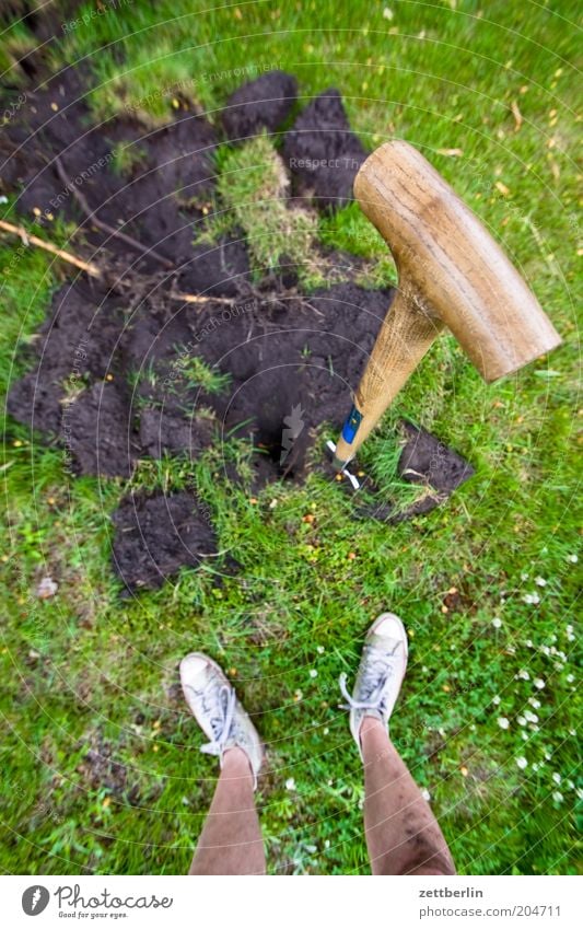 Umgraben Pflanze Gras Sommer Spaten Fuß Beine Schienbein Mann Mensch stehen Gartenarbeit Arbeit & Erwerbstätigkeit spatenstiel Erde Männerbein Gartengeräte