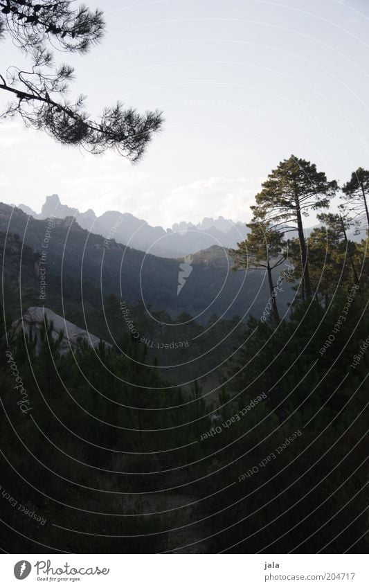 tal Ferien & Urlaub & Reisen Freiheit Sommer Berge u. Gebirge Natur Landschaft Himmel Pflanze Baum Wald Hügel Ferne Farbfoto Außenaufnahme Menschenleer Tag