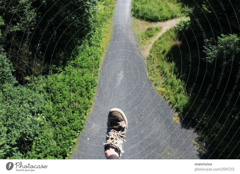 Siebenmeilenschuh Umwelt Natur Wald Schuhe Wege & Pfade tief verrückt hoch Abzweigung Schatten Mut gewagt Farbfoto Außenaufnahme Experiment Tag Licht