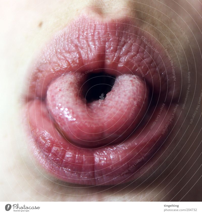 U Haut Gesicht Lippen Zunge Mund Mensch Bewegung drehen Leberfleck Pore Hautfalten Freude Unsinn Farbfoto Nahaufnahme Tag U-Form Wölbung glänzend