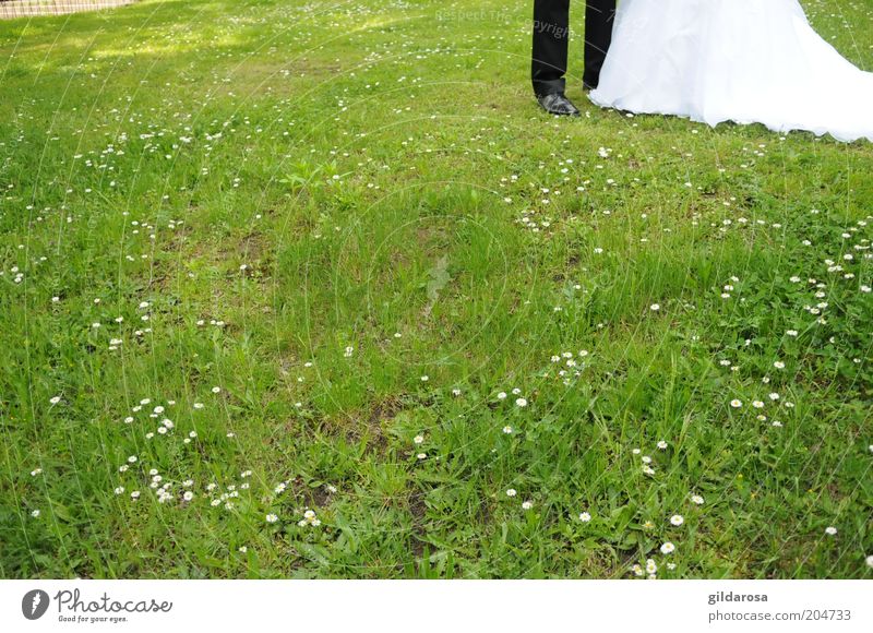 lebens-abschnitt Mensch maskulin Frau Erwachsene Mann Paar Partner Leben Beine Fuß 2 Kultur Veranstaltung Umwelt Natur Pflanze Gras Garten Wiese Anzug Schuhe