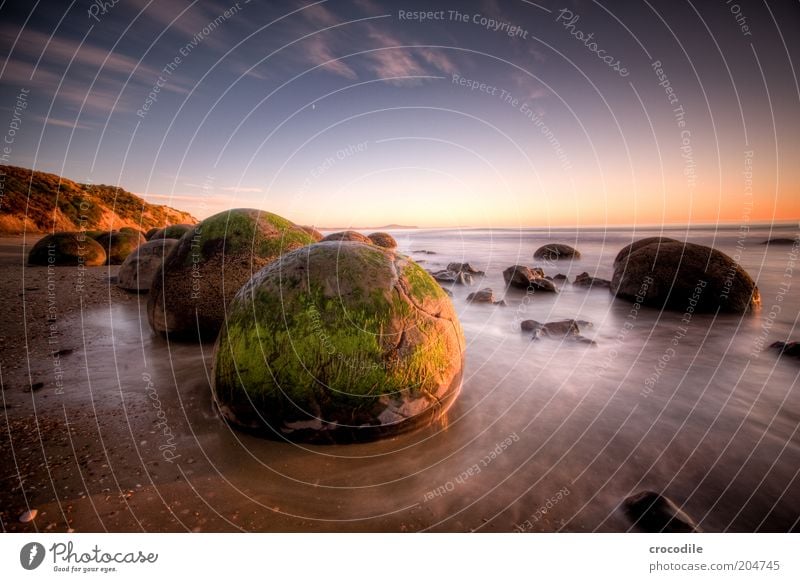 New Zealand 76 Umwelt Natur Landschaft Urelemente Erde Sand Wasser Himmel Sonnenlicht Schönes Wetter Felsen Wellen Küste Strand Meer Insel Neuseeland ästhetisch