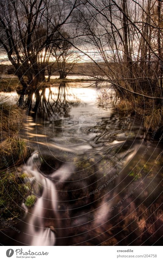 New Zealand 86 Umwelt Natur Landschaft Urelemente Luft Pflanze Baum Seeufer Flussufer Bach außergewöhnlich schön Farbfoto Menschenleer Tag Dämmerung Kontrast