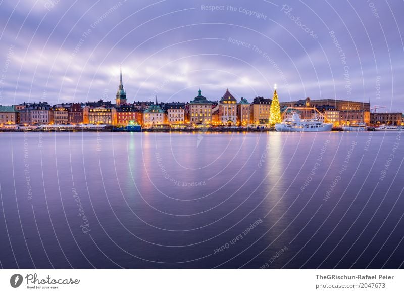 Stockholm Stadt Hauptstadt Palast blau gelb gold rosa weiß Weihnachten & Advent Baum Weihnachtsbaum Skyline Kirche Reflexion & Spiegelung Wasser Altstadt