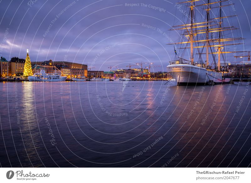 Segelschiff Stadt Hauptstadt Hafenstadt blau violett weiß Stockholm Schweden Städtereise Wasserfahrzeug Reflexion & Spiegelung Weihnachtsbaum Licht Dämmerung