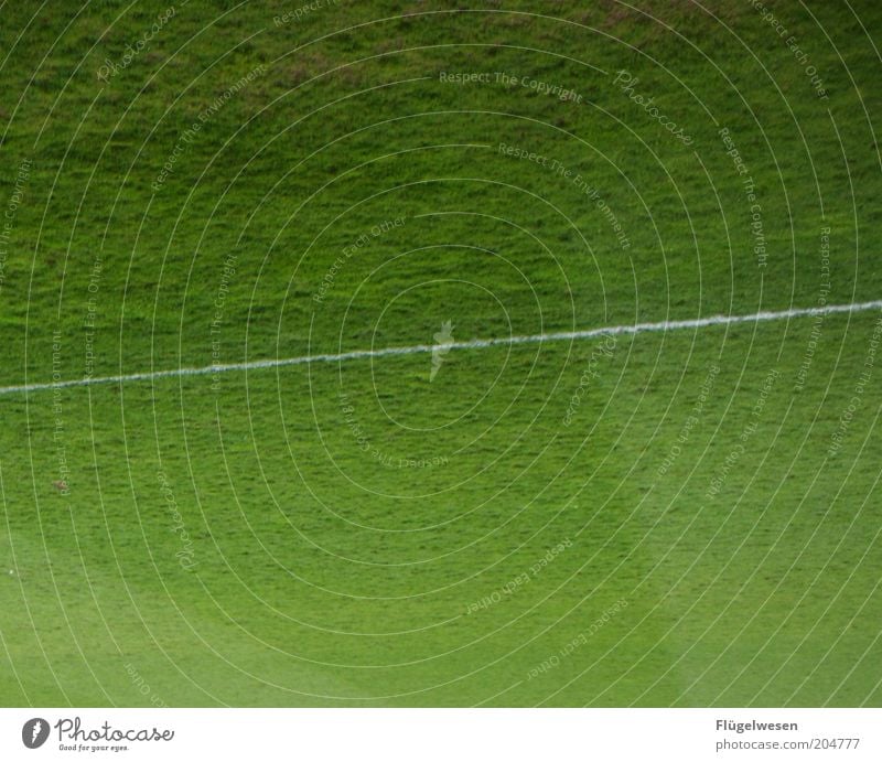 In Italien ist nichts mehr so wie es einmal war... Sportstätten Fußballplatz Rasen Farbfoto Außenaufnahme Tag Grünfläche Sportrasen Linie Spielfeldbegrenzung