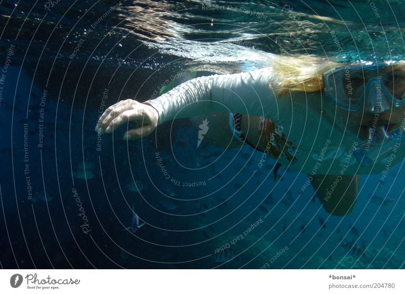 silence Freude Ausflug Meer Wassersport tauchen 1 Mensch Schönes Wetter Schutzbekleidung Bikini blond Fisch Schwarm beobachten blau Wachsamkeit Bewegung