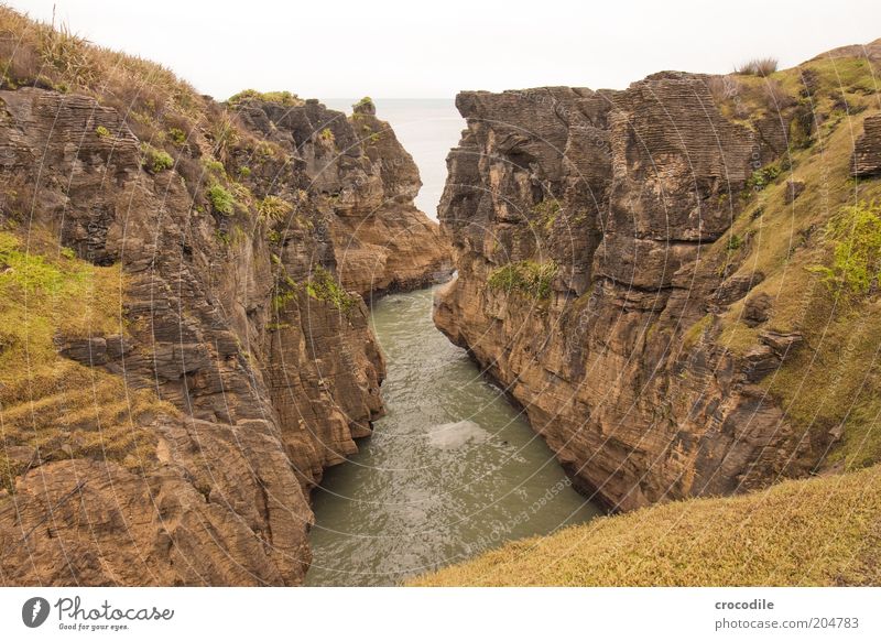 New Zealand 90 Umwelt Natur Landschaft Urelemente Erde Wasser Küste Meer Insel ästhetisch außergewöhnlich standhaft bizarr einzigartig Pancake Rocks Farbfoto